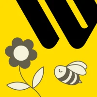 Western Union Send Money Now
